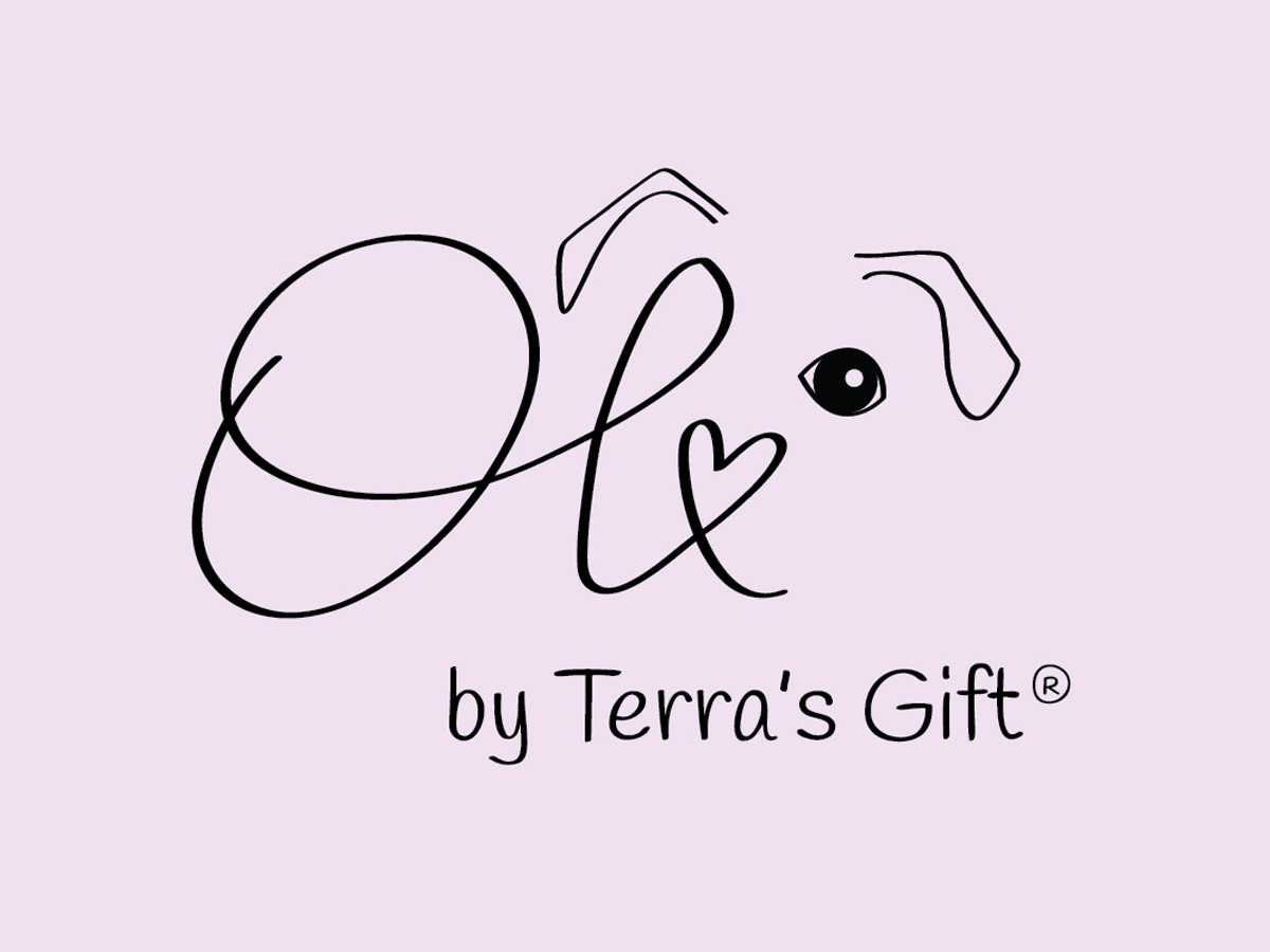 Terra's Gift project image